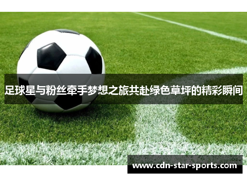 足球星与粉丝牵手梦想之旅共赴绿色草坪的精彩瞬间