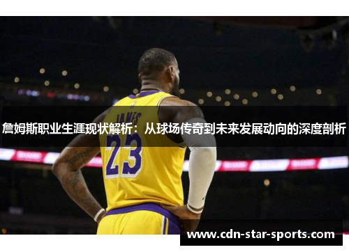 詹姆斯职业生涯现状解析：从球场传奇到未来发展动向的深度剖析